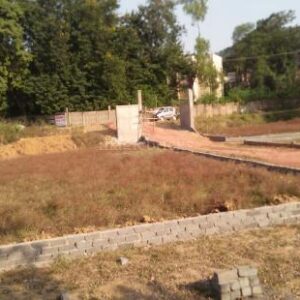 WhatsApp Image 2025-12-02 at 10.25.33 AM (2)